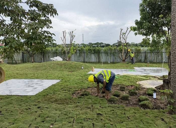 1732870314245092.jpg 1 (3).jpg