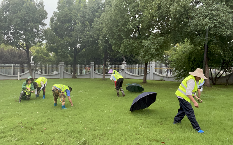園林綠化管養(yǎng)創(chuàng)新方法及措施 園林綠化管養(yǎng)創(chuàng)新方法及措施