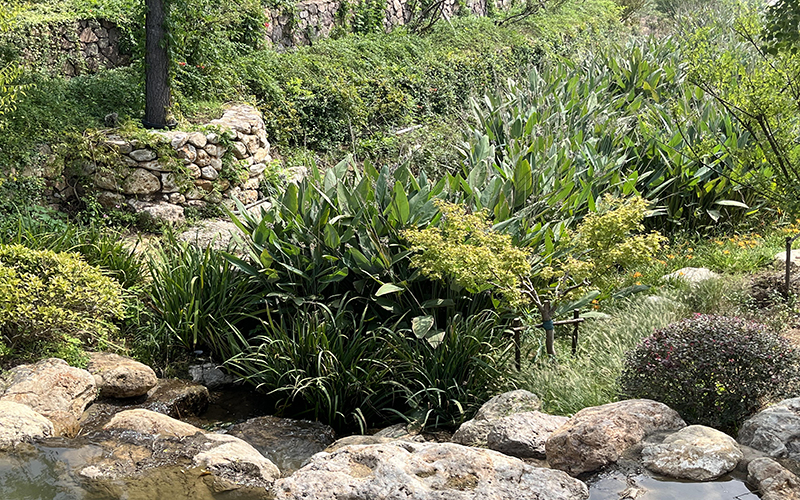 園林綠化工程 園林綠化工程