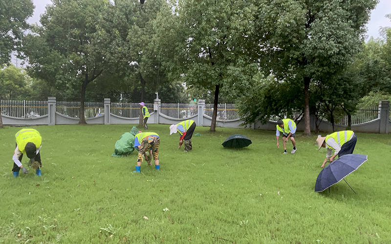 園林綠化工程的現(xiàn)狀與發(fā)展趨勢