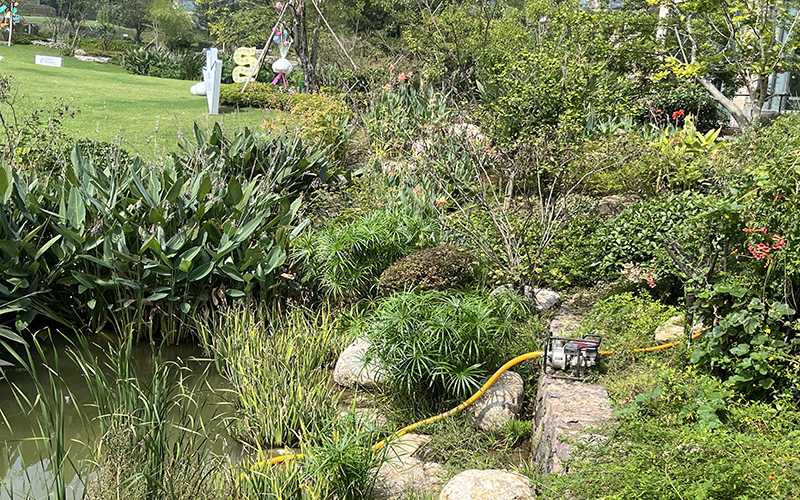 1735354497491822.jpg 087.jpg