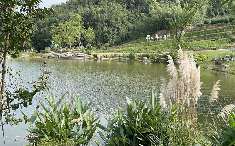 如何讓公園綠化養(yǎng)護(hù)更環(huán)保更節(jié)能